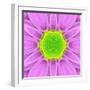 Pink Concentric Flower Center: Mandala Kaleidoscopic-tr3gi-Framed Art Print