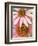 Pink Cone Flowers Close-Up-Richard Hamilton Smith-Framed Photographic Print