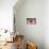 Pink Coneflowers III-Laura DeNardo-Photographic Print displayed on a wall