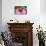 Pink Coneflowers III-Laura DeNardo-Photographic Print displayed on a wall