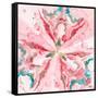 Pink Constellation Square-Patricia Pinto-Framed Stretched Canvas