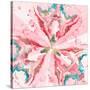 Pink Constellation Square-Patricia Pinto-Stretched Canvas