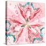 Pink Constellation Square-Patricia Pinto-Stretched Canvas