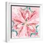 Pink Constellation Square-Patricia Pinto-Framed Art Print