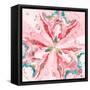 Pink Constellation Square-Patricia Pinto-Framed Stretched Canvas