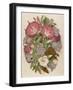 Pink Convolvulus (Bindweed) and Blue and White Campanula Medium Canterbury Bell) Depicted with Bees-null-Framed Art Print