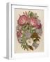 Pink Convolvulus (Bindweed) and Blue and White Campanula Medium Canterbury Bell) Depicted with Bees-null-Framed Art Print