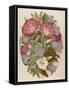 Pink Convolvulus (Bindweed) and Blue and White Campanula Medium Canterbury Bell) Depicted with Bees-null-Framed Stretched Canvas