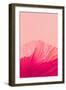 Pink Coral-null-Framed Giclee Print