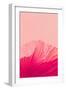 Pink Coral-null-Framed Giclee Print