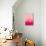 Pink Coral-null-Stretched Canvas displayed on a wall