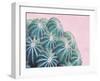 Pink Crush II-Elizabeth Urquhart-Framed Art Print