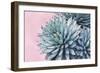 Pink Crush IX-Elizabeth Urquhart-Framed Art Print