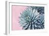 Pink Crush IX-Elizabeth Urquhart-Framed Art Print