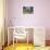 Pink Cruz E Sousa Palace in Florianopolis, Santa Catarina State, Brazil, South America-Michael Runkel-Photographic Print displayed on a wall