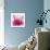 Pink Cyclamen Abstract No 255-Shams Rasheed-Giclee Print displayed on a wall