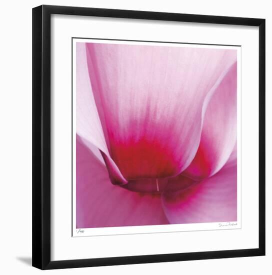 Pink Cyclamen Abstract No 255-Shams Rasheed-Framed Giclee Print