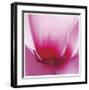 Pink Cyclamen Abstract No 255-Shams Rasheed-Framed Giclee Print