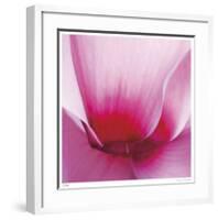 Pink Cyclamen Abstract No 255-Shams Rasheed-Framed Giclee Print