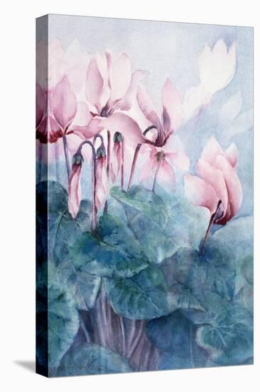 Pink Cyclamen Pseudibericum-Karen Armitage-Stretched Canvas