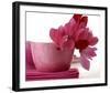 Pink Cyclamens-null-Framed Art Print