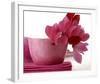 Pink Cyclamens-null-Framed Art Print