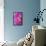 Pink Dahlia I-Kathy Mahan-Framed Stretched Canvas displayed on a wall