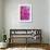 Pink Dahlia II-Kathy Mahan-Framed Photographic Print displayed on a wall