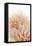 Pink Dahlia II-Karyn Millet-Framed Stretched Canvas