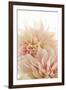 Pink Dahlia II-Karyn Millet-Framed Photographic Print