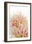 Pink Dahlia II-Karyn Millet-Framed Premium Photographic Print