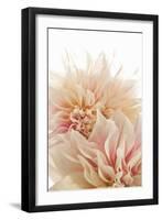 Pink Dahlia II-Karyn Millet-Framed Premium Photographic Print