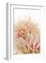 Pink Dahlia II-Karyn Millet-Framed Premium Photographic Print