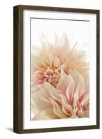 Pink Dahlia II-Karyn Millet-Framed Photographic Print