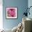 Pink Dahlia-Stacy Bass-Framed Giclee Print displayed on a wall