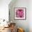 Pink Dahlia-Stacy Bass-Framed Giclee Print displayed on a wall
