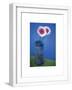 White Frame