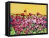 Pink Daisy-Mary Russel-Framed Stretched Canvas