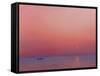 Pink Dawn on the Ganges-Derek Hare-Framed Stretched Canvas