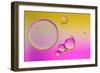 Pink Delight In Yellow-Heidi Westum-Framed Photographic Print