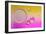 Pink Delight In Yellow-Heidi Westum-Framed Photographic Print