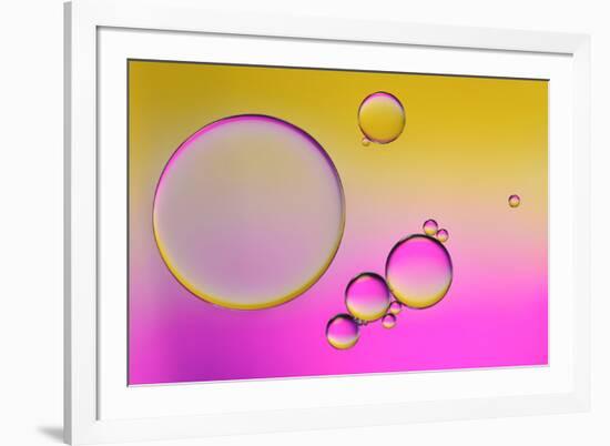 Pink Delight In Yellow-Heidi Westum-Framed Photographic Print