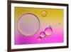 Pink Delight In Yellow-Heidi Westum-Framed Photographic Print