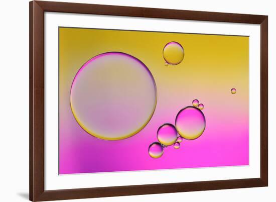 Pink Delight In Yellow-Heidi Westum-Framed Photographic Print