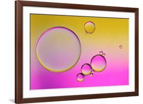 Pink Delight In Yellow-Heidi Westum-Framed Photographic Print