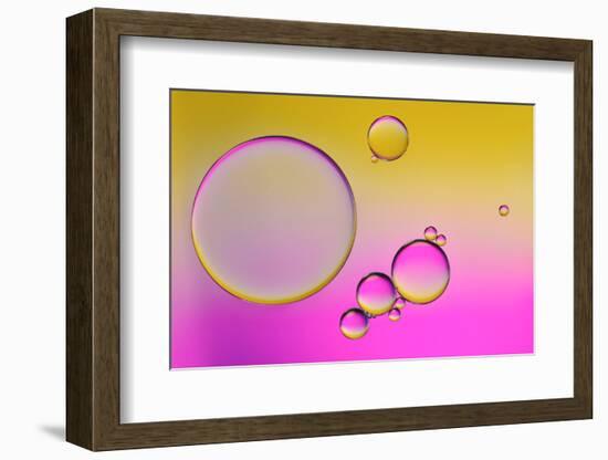 Pink Delight In Yellow-Heidi Westum-Framed Photographic Print