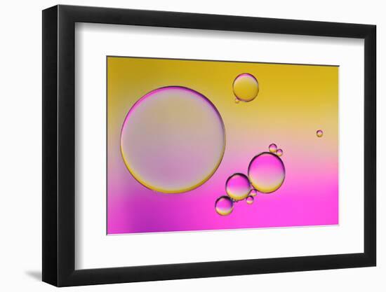 Pink Delight In Yellow-Heidi Westum-Framed Photographic Print