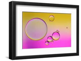 Pink Delight In Yellow-Heidi Westum-Framed Photographic Print