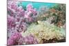 Pink Dendronephthya, Soft Coral, and Anemonefish, Southern Thailand, Andaman Sea, Indian Ocean-Andrew Stewart-Mounted Photographic Print