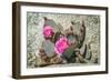 Pink Desert Flower-Janice Sullivan-Framed Giclee Print